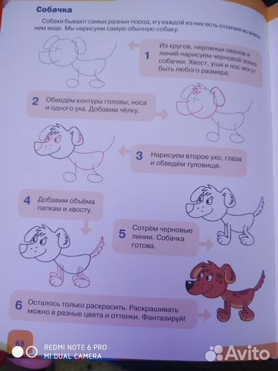 Большая книга рисования. Екатерина Приваловва