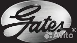 Ремень высоконагруженный клиновой (10x1350)