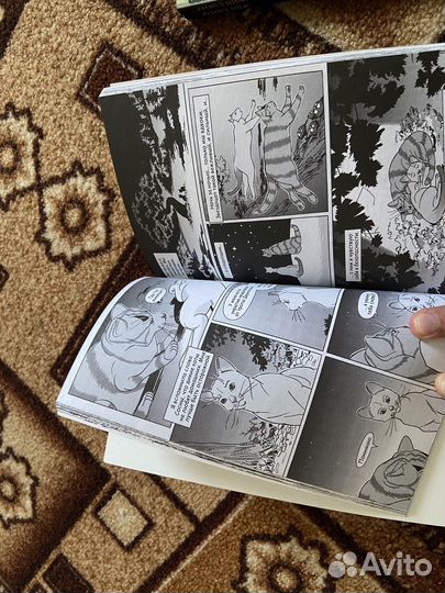 Коты воители манга Звездоцап и Саша