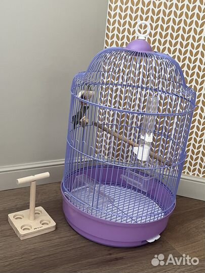 Клетка для попугая /переноска