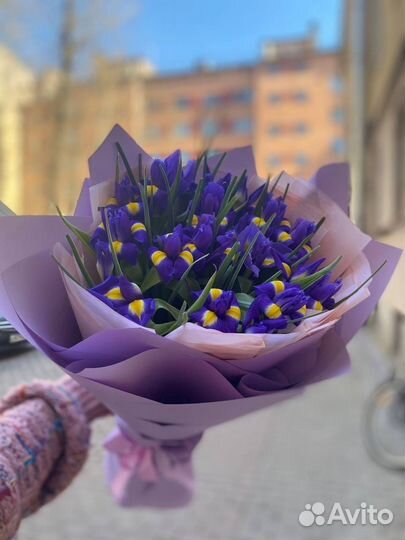 Букет из 21 синего ириса