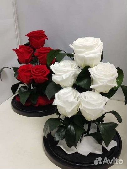 Подарок на новый год / Цветы