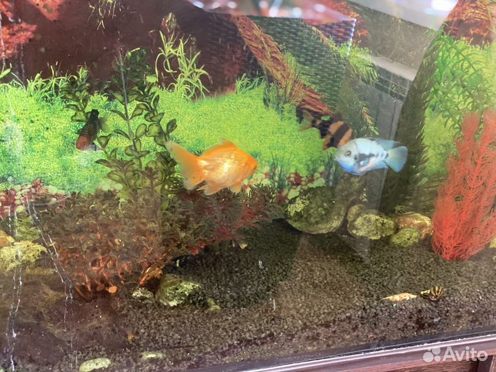 Аквариум с тумбой