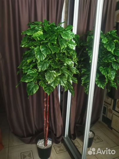 Искусственное дерево, интерьерное дерево