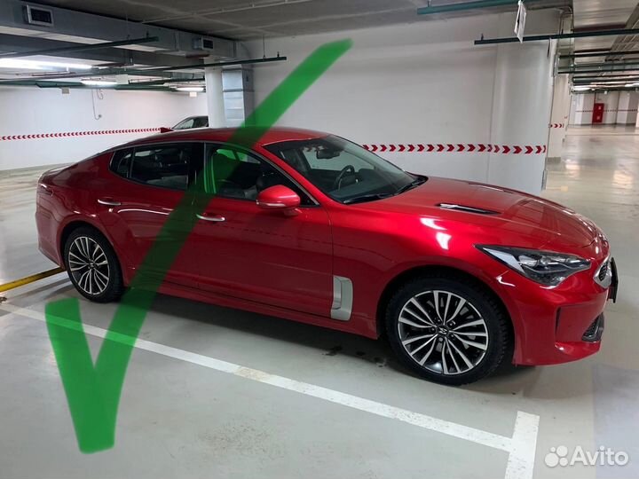 Автоподбор/Автоэксперт Stinger