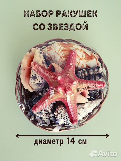 Ракушки с морской звездой - набор в корзинке