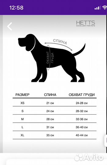 Свитер для маленькой собачки