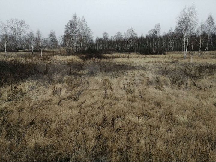 Участок 12 сот. (СНТ, ДНП)