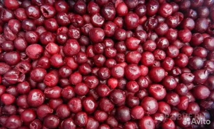 Вишня без косточки Сербия замороженная коробка