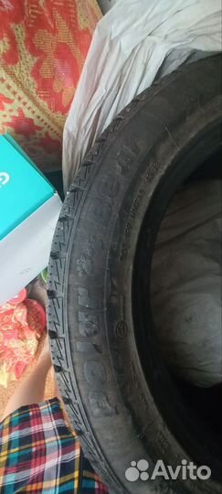 Foman Polar Bear 205/55 R16 91T