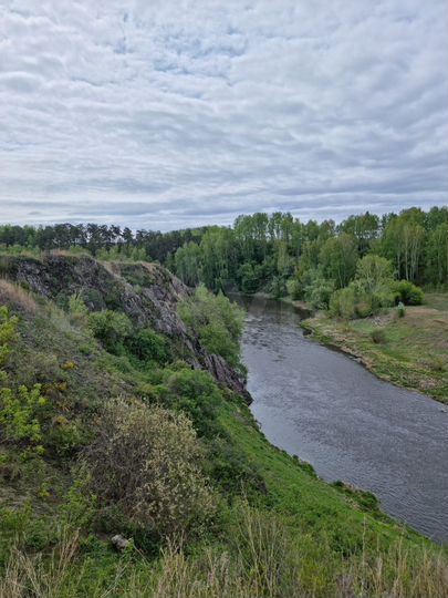 Участок 6 сот. (ИЖС)