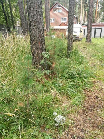 Дача 80 м² на участке 10 сот.