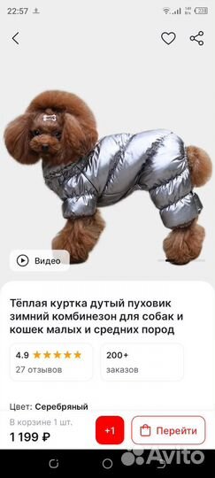 Зимний комбинезон для маленькой собаки