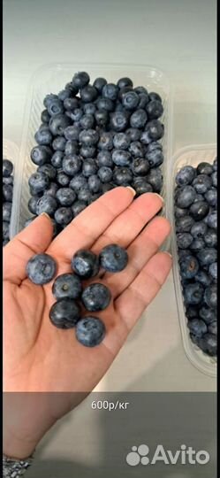 Голубика ягоды