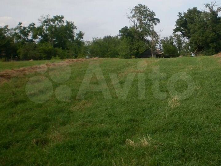 Участок 31 сот. (СНТ, ДНП)