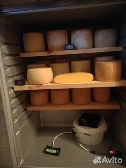 Холодильная камера для хранения сыра