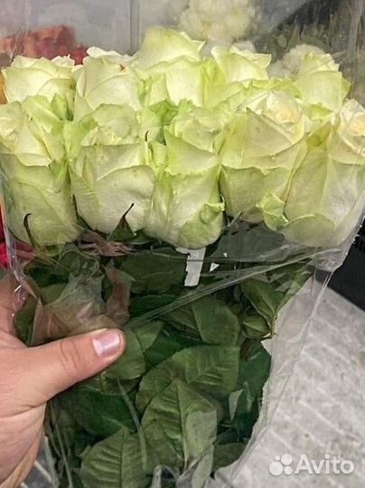 Букеты розы импортные Доставка по Ставрополю