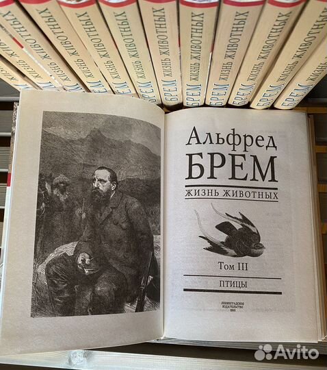 Альфред Брем. «Жизнь животных»