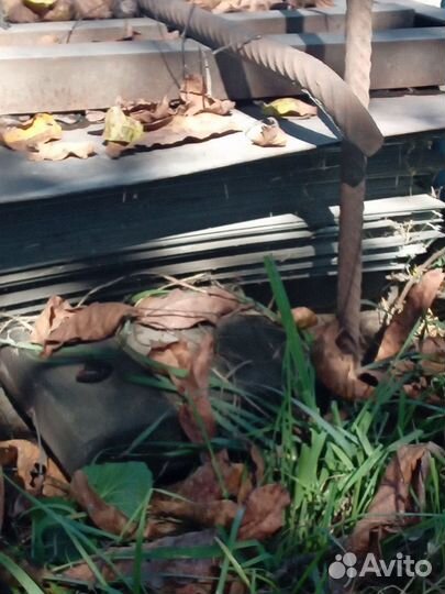 Аценкованые листы