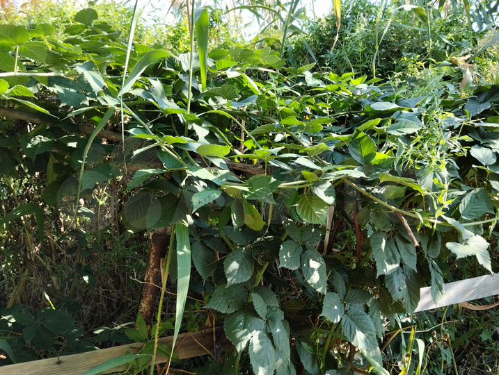 Дача 20,6 м² на участке 7 сот.