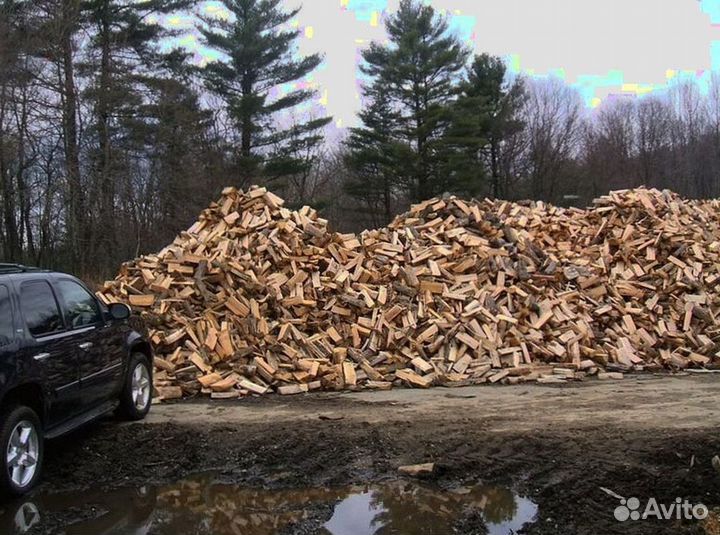 Дрова естесвенной влажности