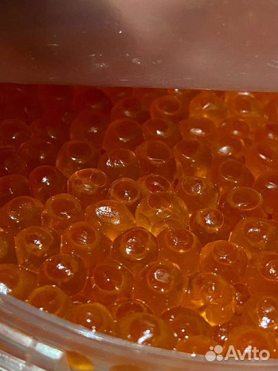 Красная икра