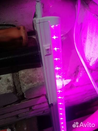 Ультрафиолетовая лампа для растений