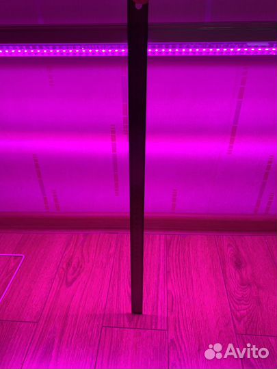Фиолетовая лампа для рассады