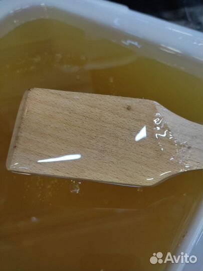 Свежий мёд эспарцет Качка 2023 год Опт