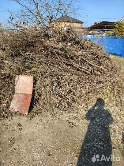 Вывоз мусора/Веток/Расчистка Участка/Демонтаж