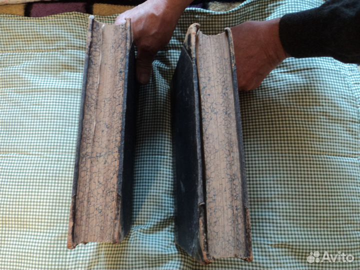 Жизнь растений. 2 тома. 1899 г. Проф.Кернер