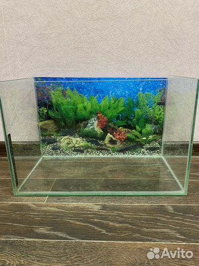 Аквариум