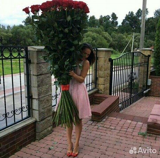 Розы Гиганты XXL