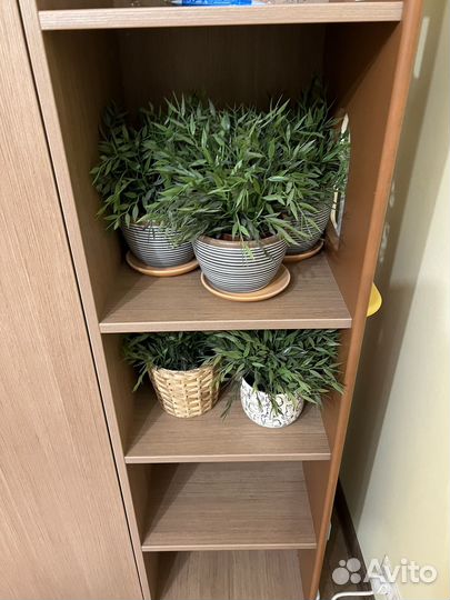 Цвкты в горщках IKEA (икея)