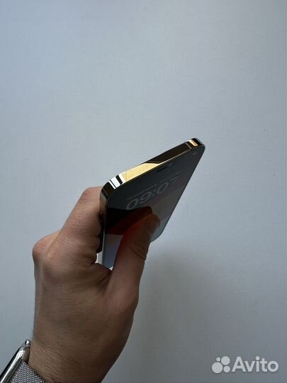 iPhone 12 Pro Max, 256 ГБ