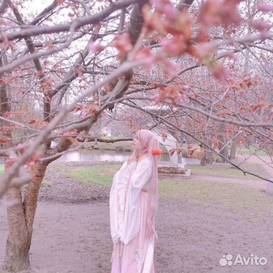 Ханьфу косплей sakura miku