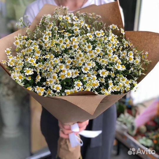 Букет из ромашек 11 21 31 41 51