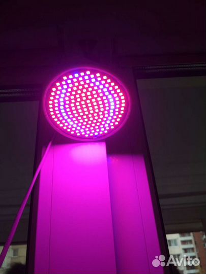 Фитолампа для растений