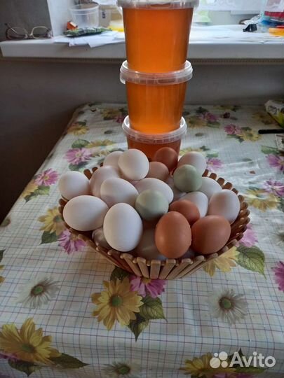 Домашние куриные яйца