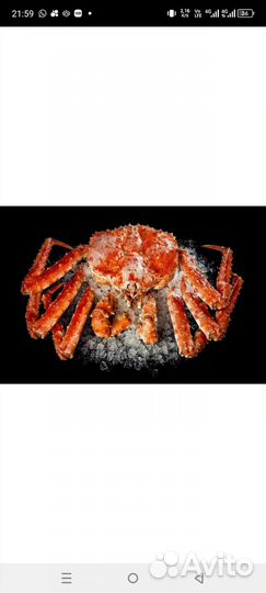 Краб, камбала, корюшка, мойва