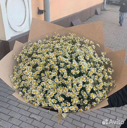 Букеты ромашек