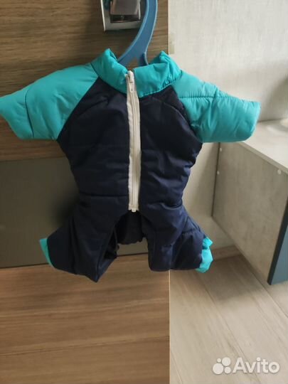 Одежда для маленьких собак