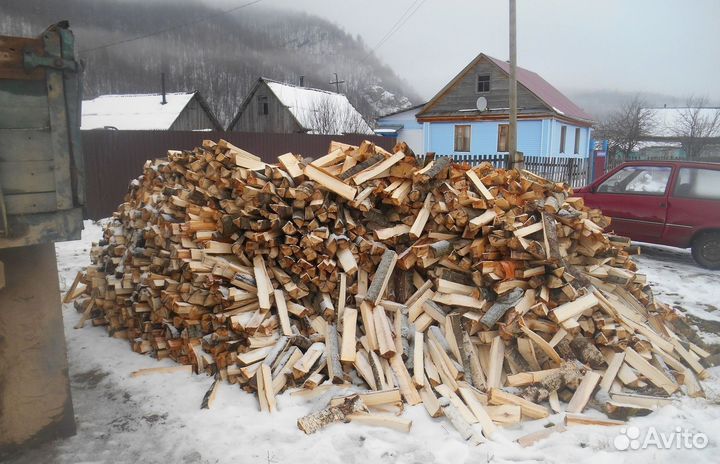 Дрова береза