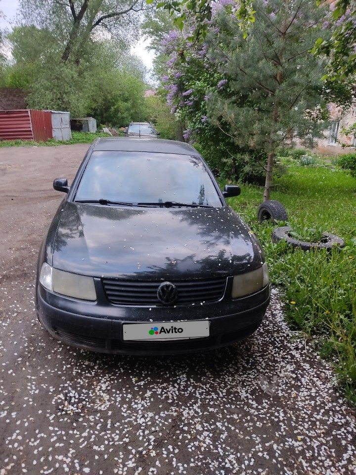 Volkswagen Passat: фото владельца