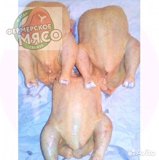 Фермерская курица