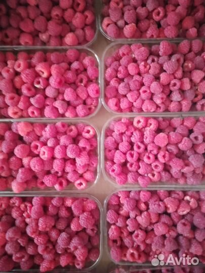 Малина, Клубника