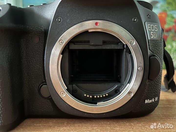 Canon 5D mark iii body