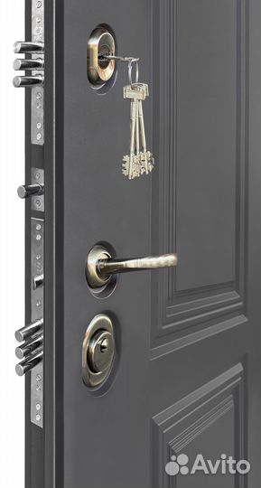 Дверь входная с терморазрывом Рубин