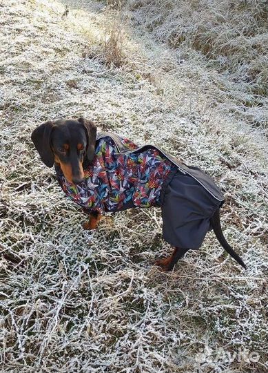 Такса вязка