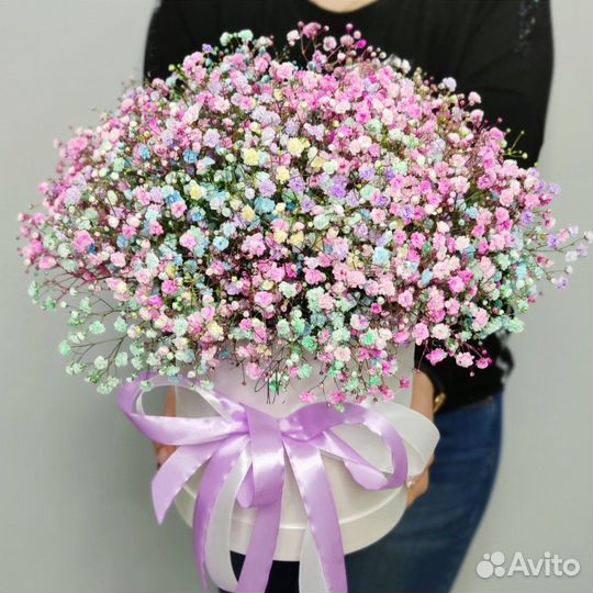 Цветы гипсофила